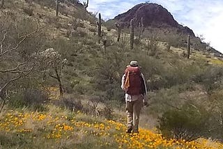 In Search of Solidarity: Reflections on a Weekend of Search and Discovery in the Sonoran Desert