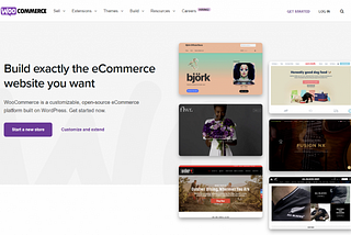 Top Free Crucial WordPress Plugins For Ecommerce Store