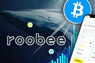 Roobee is an international investment platform