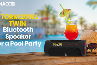 The STORM 20Ws TWIN Bluetooth Speaker for a Pool Party