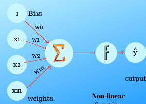 Let’s Crack Neural Network