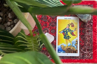 The Fool’s Journey: Learning to Be a Beginner Again