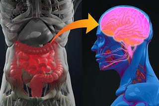 A Gut Feeling About Amyotrophic Lateral Sclerosis: The Mind-Body Connection