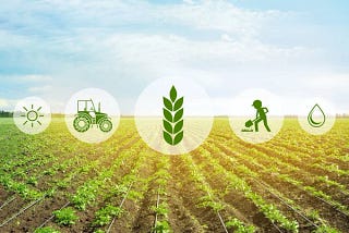 Agritech — Making Indian Farming Profitable