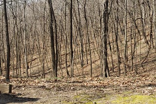 FOR SALE. RE/MAX ULTIMATE.