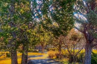 The Reflective Path to Clarity: 4 Life-Changing Stages from My Journey as a Nun