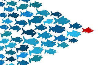 Tips for Newbie Team Leaders