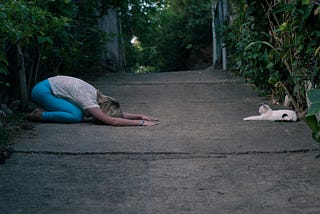 woman and cat doing yoga