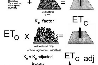 Evapotranspiration: Understanding and Predicting Plant Water Requirement