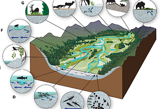 Do you know where your water comes from and how it is treated?