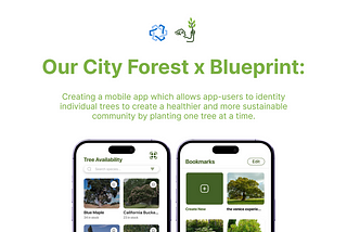 Our City Forest — A Project Overview