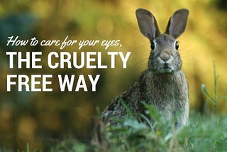 How to Care for Your Eyes, the Cruelty-Free Way