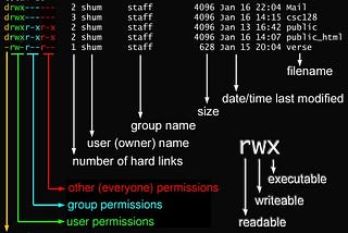 What happens when you type ls -l in the shell