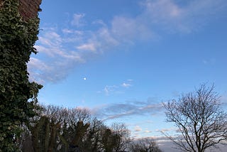 Scrap Of Wood & Fabric Fly To The Moon And Back