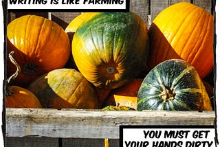 Picture of some pumpkins in a bin. The caption reads, “Writing is like farming, you must get your hands dirty.”