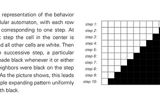 “A New Kind of Science” … Kind of.