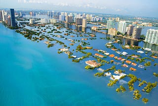 Four Ways to Live Well Amid Ecosystem Collapse
