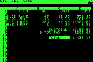 A screenshot of VisiCalc for the Apple II