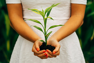 The Lifecycle of a Business and Your Role Within It: Mastery