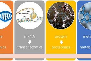 Metabolites and their potential use for Human Augmentation