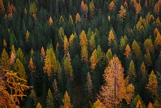 How To Build an Effective Writing Routine for Fall