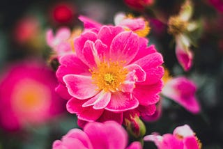 Onboarding New Writers Joining ILLUMINATION Publications Today: #189