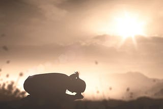 From Darkness to Light