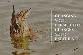 Why it’s Good to Challenge Your Perspective