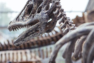 Can Dinosaurs Walk The Earth Again?