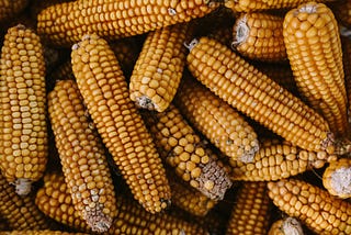 Corn Relish: An Informational Recipe of a oft-forgotten condiment by Dean Jones