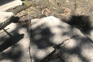 Cracked sidewalk pavement with tree roots growing under it.