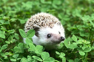 A Few Hedging Ideas