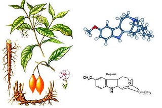 World Class Ibogaine Treatment Center in the World