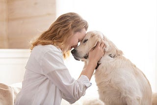 Animals And Stress Relief Therapy