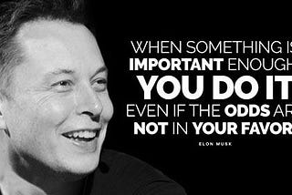 Elon Musk Quotes