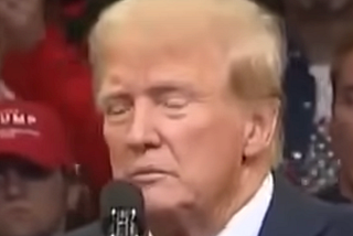 Body Language and Behavior Analysis №4759: Donald Trump’s Sadistic Pleasure and Predatory Behavior…