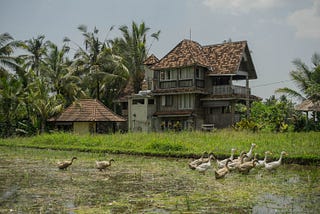 Ubud and Beyond