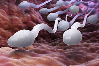 How to Make Sperm Stronger for a Healthy Pregnancy?