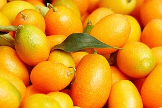 Do you know what is kumquat?