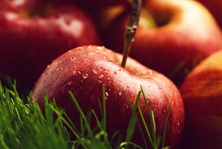 Apprentices to Ripening