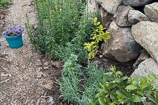 Gardening with Nature