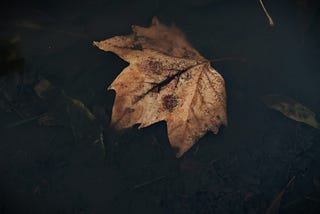 31 microficciones para cruzar octubre