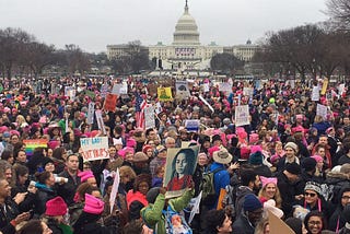 High School Democrats March for Equality