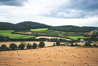 Ireland’s Agricultural Crossroads: Stay in the Past or Cultivate a Sustainable Future?