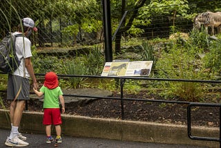 NFZ — 5 Rules You Should Do At All Zoos