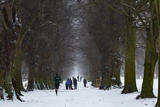 A runner amongst a line of trees in the snow with people in their winter gear