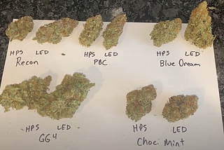 Final Dry Product-Comparison of HPS and LED