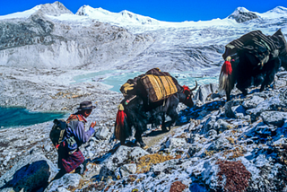 If You Are A Thrill Seeker, Here Are Top 10 Most Dangerous Treks Around The Globe For You