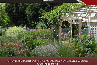 Nature Hideaway: Unwind at Palo Alto, California’s serene Gamble Garden