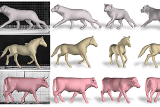 SMAL: How to predict a 3D Model of an Animal based on 2D Image